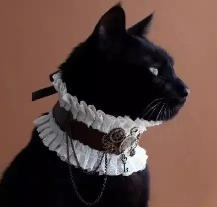 黑猫实在太有绅士范了,小领带一系,猫中贵族