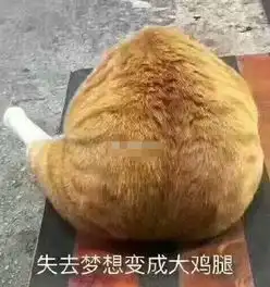 selina与前夫和解主动约饭彼此感谢,聊到哭