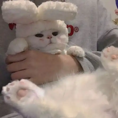 关于开学的文案