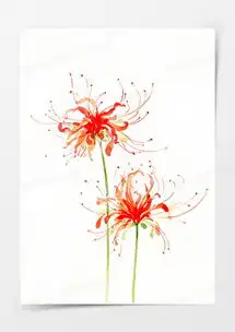 唯美古风水彩油伞插画png图片素材免费下载png格式熊猫办公