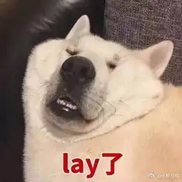 杭州爸爸给娃上高端私立幼儿园,自己