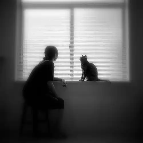 2011531