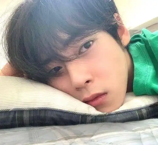182cm壮硕男大生韩国先生夺冠韩媒封今年最强美男