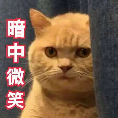 你有哪些好看的头像
