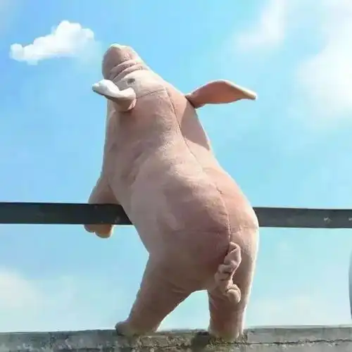 搞怪头像