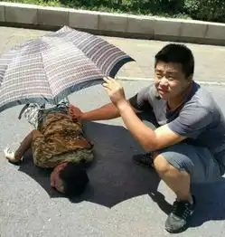 小伙为车祸伤者撑伞遮阳路人点赞撑伞哥