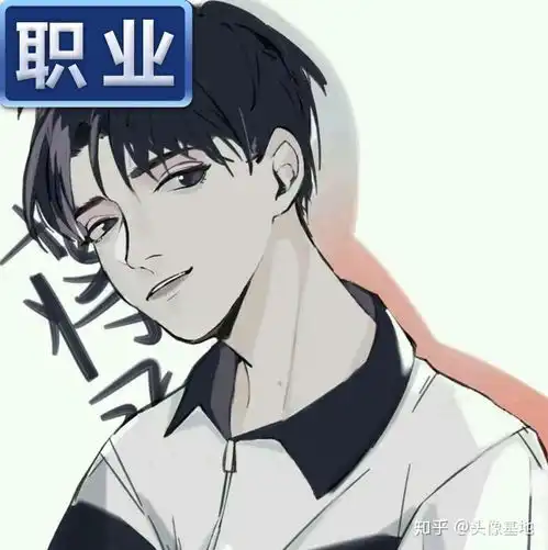 王者荣耀新款职业头像