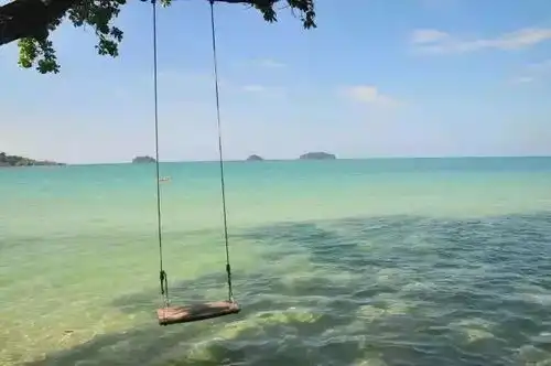为什么安迪和莫文蔚最后都选择了这样的男人