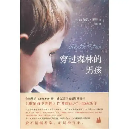 穿过森林的男孩