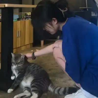 测试一个超长简介的文章