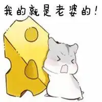 和媳妇聊天的表情包微信头像图片大全