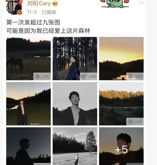盘点男星回应分手语录,罗志祥纪凌尘屈楚萧上榜,谁成渣男榜首