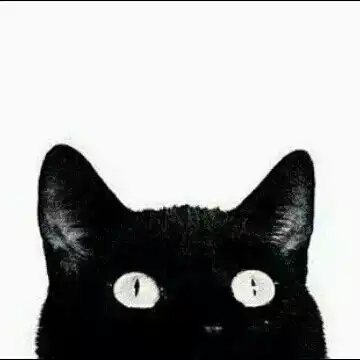 猫咪的情侣头像