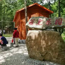 森林头像情侣图片树林