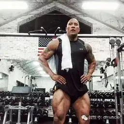 早上4点,我们还在睡觉他已经在健身了