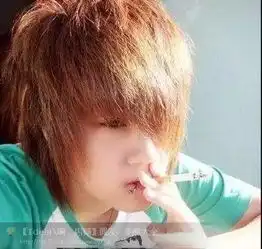 测试一个超长简介的文章