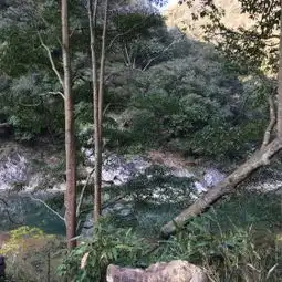 龙湾潭国家森林公园门票,楠溪江龙湾潭国家森林公园攻略地址图片门票价格