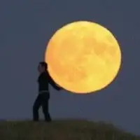最新的创意十足的个性头像夕阳落日余晖头像图片浏览