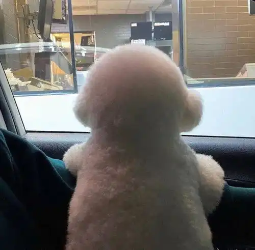 小众可爱情侣头像