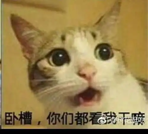 那些年,我们一起爱过的舍友