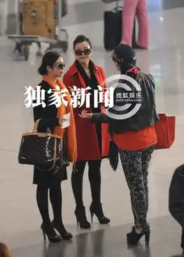 宋祖英霸气现身机场与友人抵京贵气袭人
