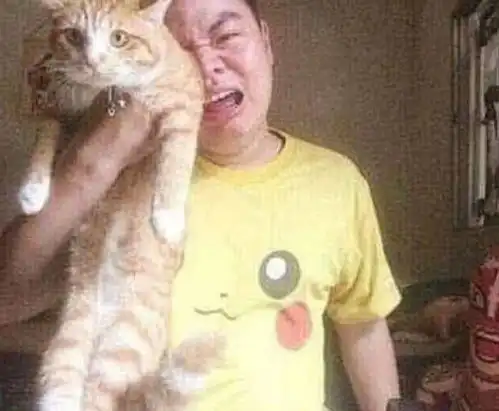 测试一个超长简介的文章
