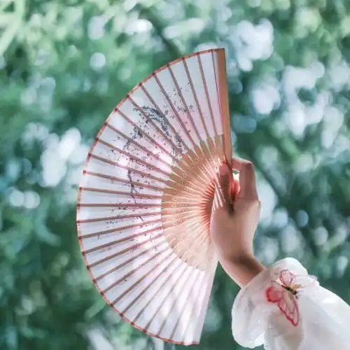 头像看舌尖上的中国感觉一寸国土都不能放弃谁知道会长出什么好吃的来