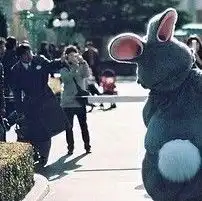 唯美浪漫的qq情侣真人头像