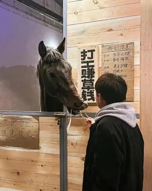 男子称路过烧烤店被马咬伤,索赔一万元,店主是他先挑衅马的