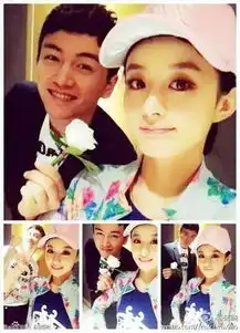 陈晓陈妍希有望成婚于正赵丽颖该怎么办