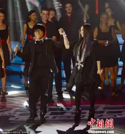 中国好声音总决赛落幕张惠妹组李琦夺冠