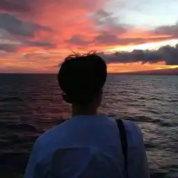 头像男海边背影黄昏一个男人