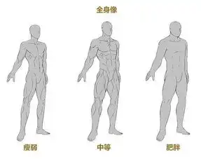 推荐男性肌肉绘画技巧非常全面的漫画动漫男性身材绘画技巧