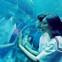 掉入海底的男孩图片微信头像图片大全