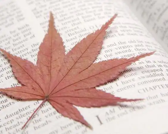 40多岁的女人,在不经意间就老了,越老越就要越靠软实力