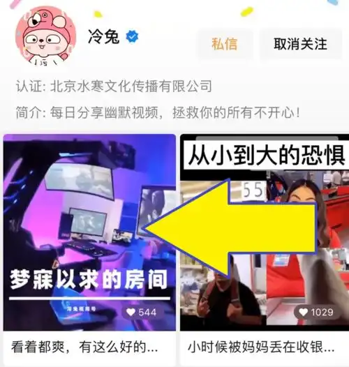 谁说单身狗没人疼没人爱