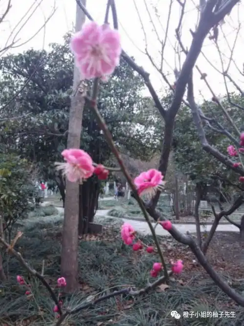 人间烟火才是生活