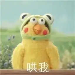 白宛照片白宛相册大全yy官方
