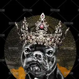 狗头皇冠dg杜嘉班纳t恤卫衣印花图案设计图案原创艺术风psd图片素材下载图芽创意