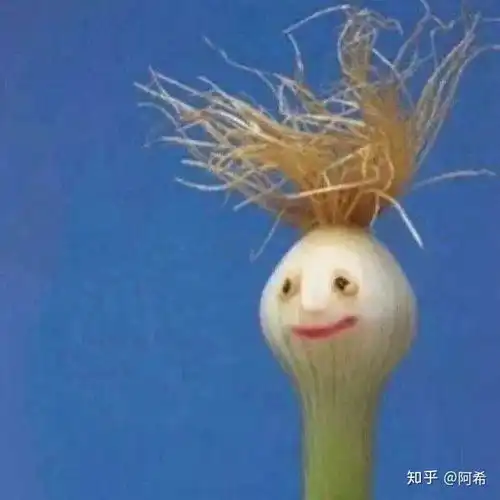 有没有一些比较沙雕的头像呢男女都可