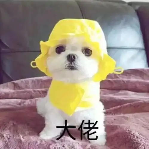 鼠年新福利一大波超美头像来啦赶紧换