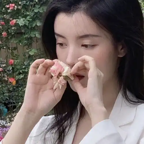 头像想起相遇的意义