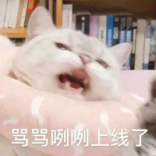 表情包骂骂咧咧上线了