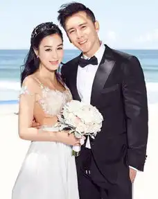 喜讯钟丽缇张伦硕大婚