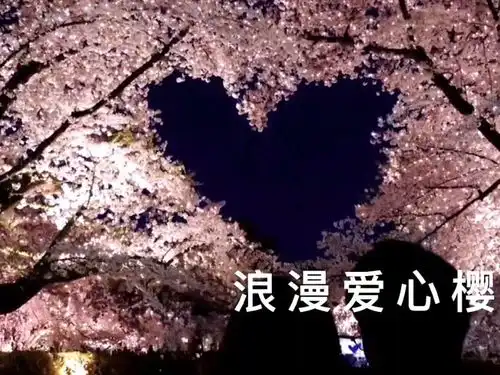 治愈系风景这么美的风景你会第一个发给谁看呢