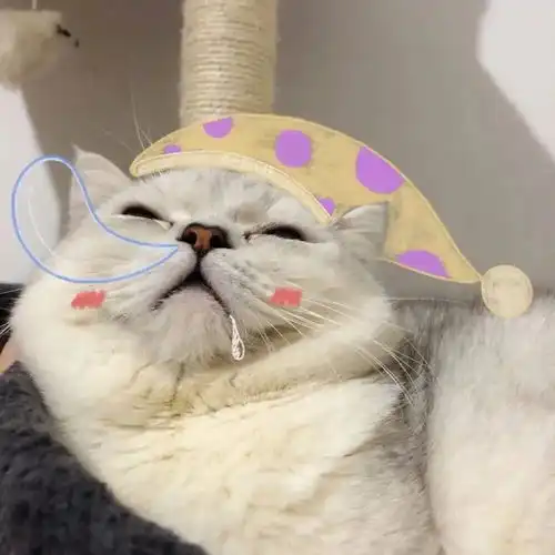 情头听说每一次换情头都伴随着心情的大起大落