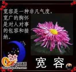 理解等于宽容