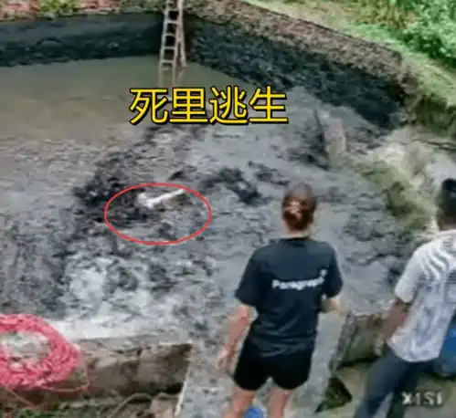 梅州一水塘围墙突然倒塌,正捞鱼的男子死里逃生,村民目睹全程