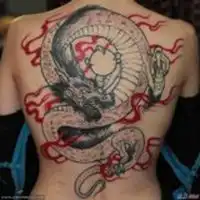 测试一个超长简介的文章