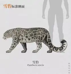 如果没有人类,世界属于大猫